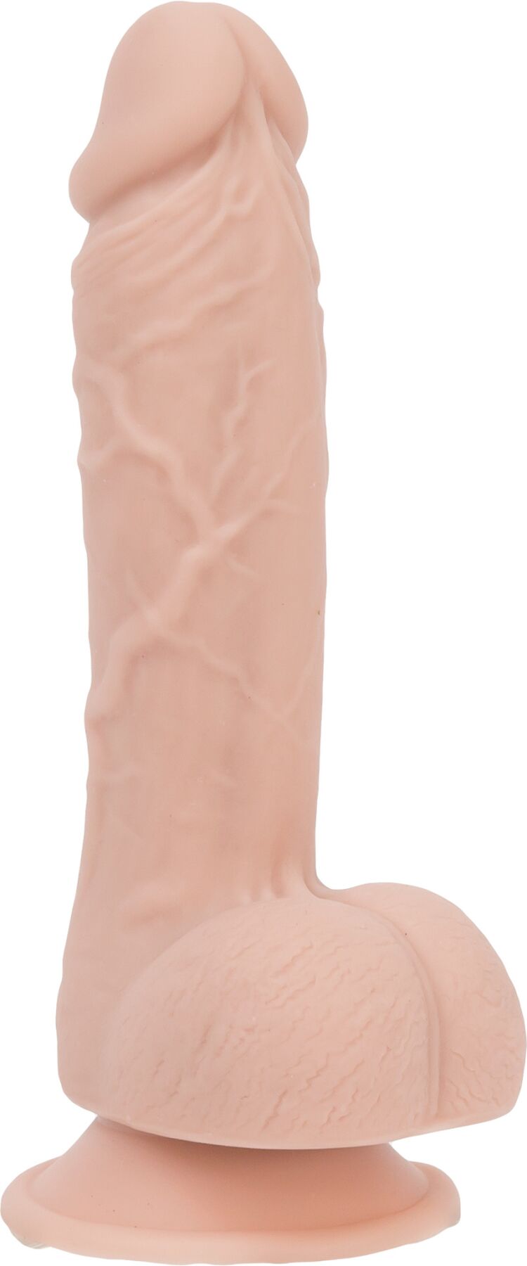 so5583 51986707674419.jpg